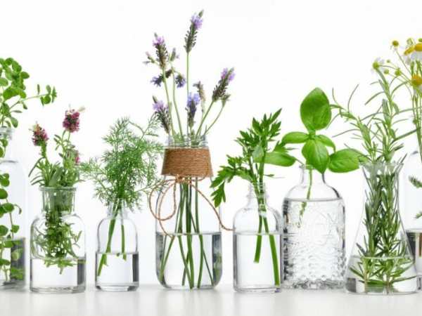 “Minimalize” Your Home